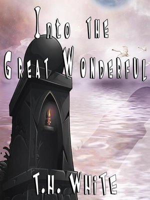 cover image of Into the Great Wonderful